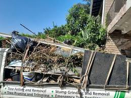  Palo Alto, CA Junk Removal Services Pros